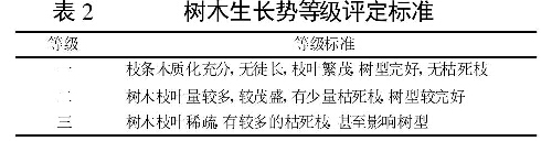 表2 樹木生長勢等級評定標(biāo)準(zhǔn)